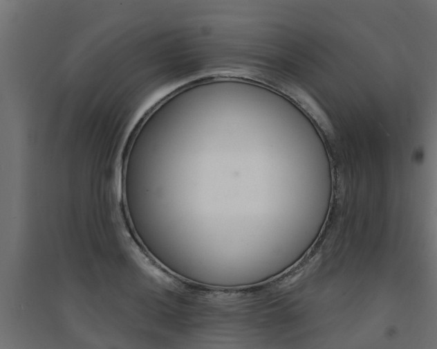 X0000094901036200711291018