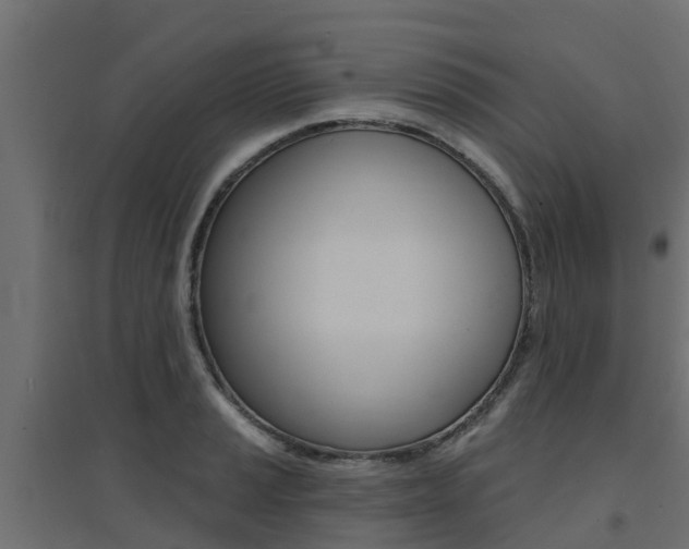 X0000094901037200711291018