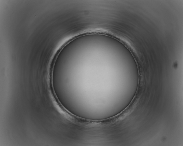 X0000094901038200711291018