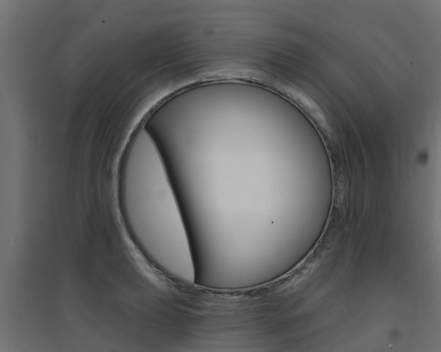 X0000094901039200711291018