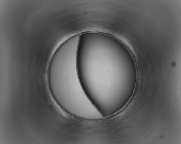 X0000094901040200711291018