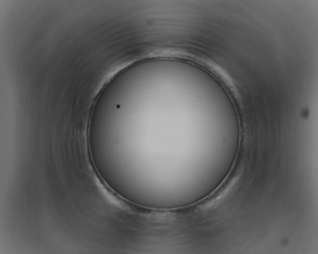 X0000094901041200711291018