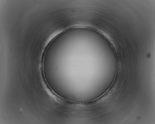 X0000094901042200711291018