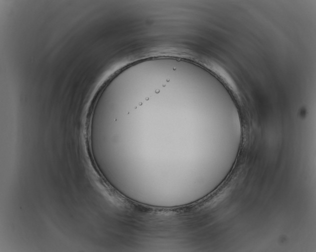 X0000094901043200711291018