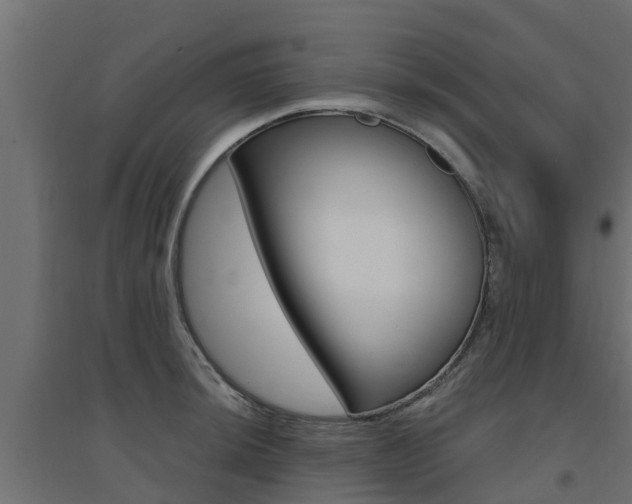 X0000094901044200711291018