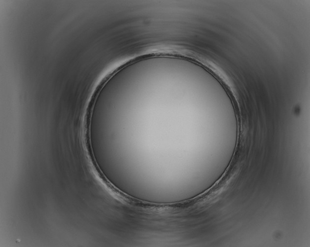X0000094901045200711291018