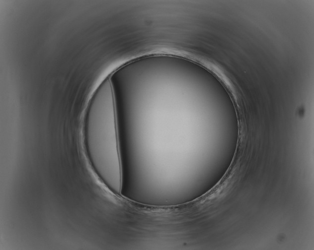 X0000094901048200711291018