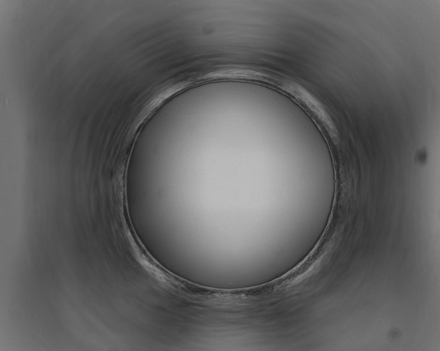 X0000094901049200711291018