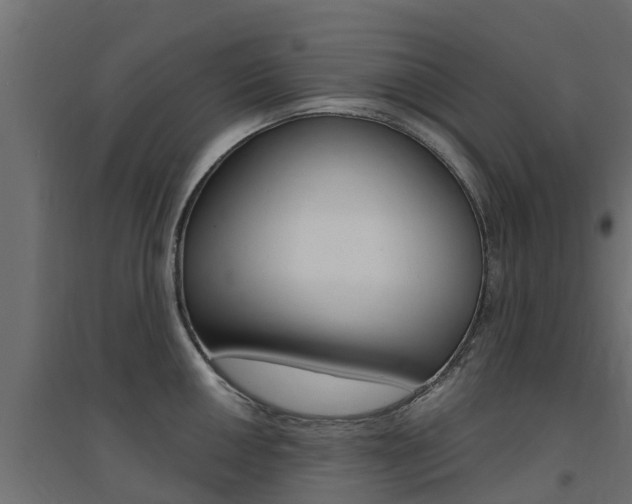 X0000094901050200711291018