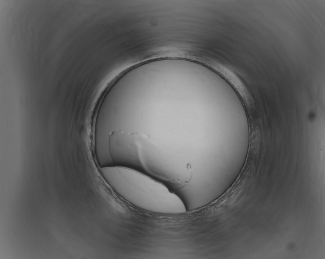 X0000094901051200711291018