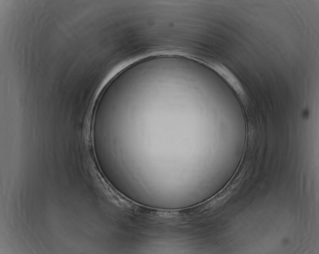 X0000094901052200711291018