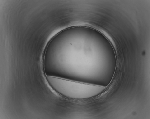 X0000094901053200711291018