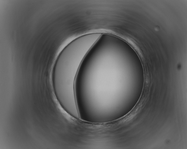 X0000094901054200711291018