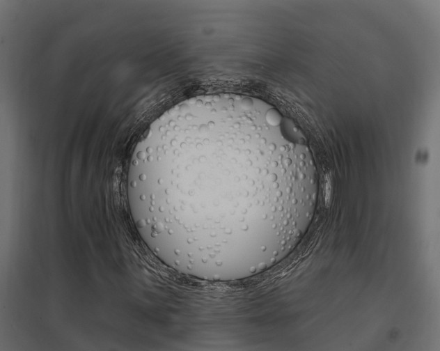 X0000094901059200711291017
