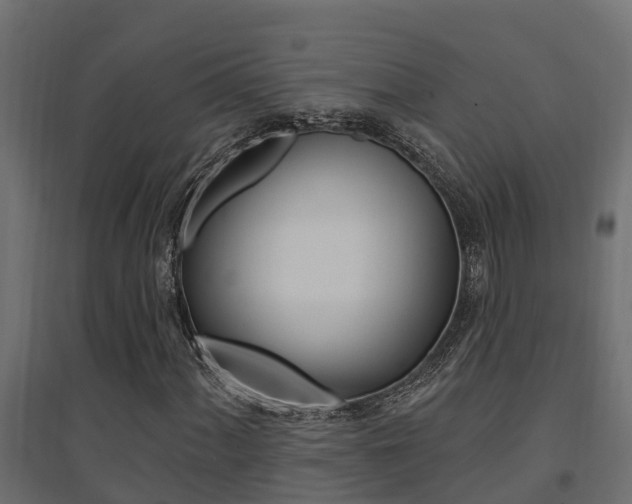 X0000094901060200711291017