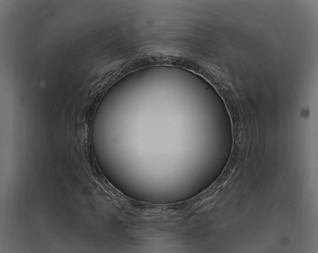 X0000094901061200711291017