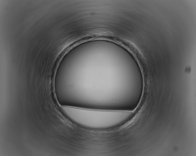 X0000094901065200711291017