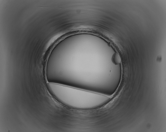 X0000094901066200711291017