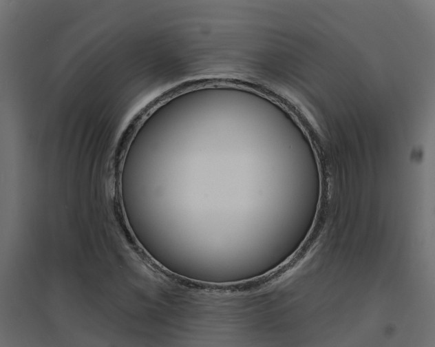 X0000094901069200711291017