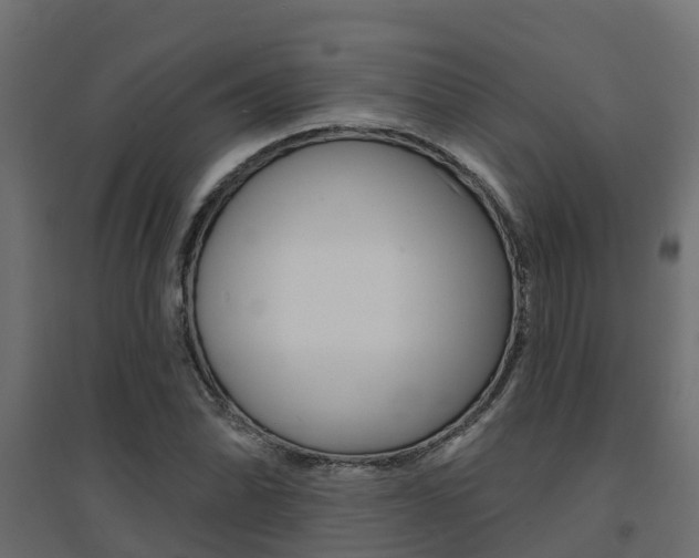X0000094901070200711291017
