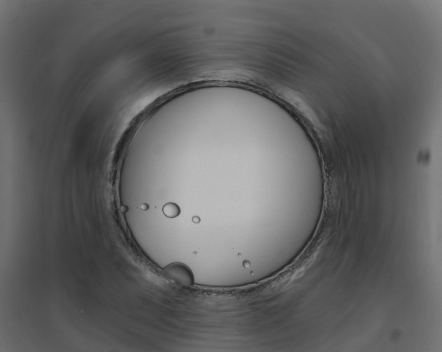 X0000094901071200711291017