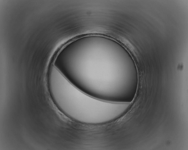 X0000094901072200711291017