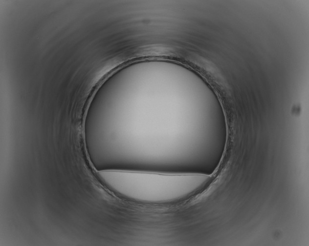X0000094901073200711291017