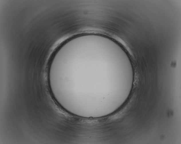 X0000094901074200711291017