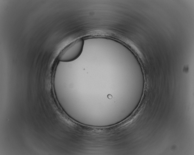 X0000094901075200711291017