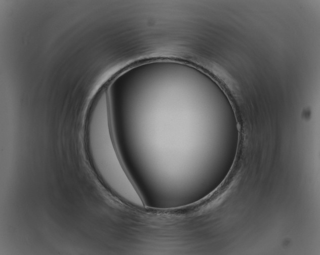 X0000094901077200711291017