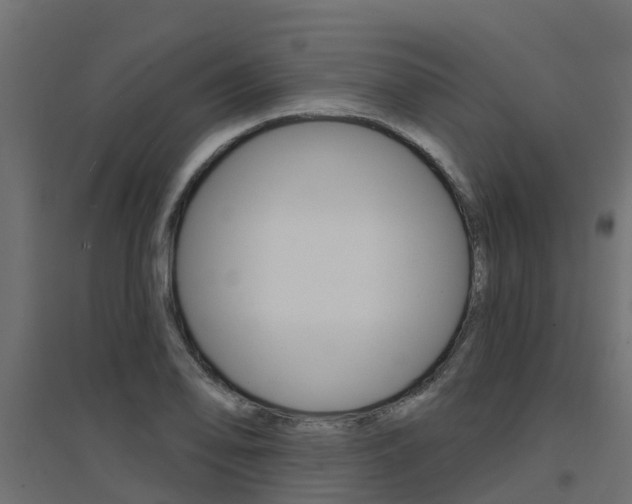 X0000094901078200711291017
