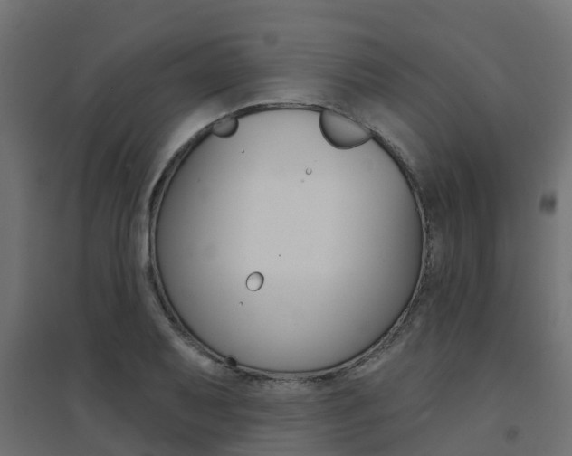 X0000094901079200711291017