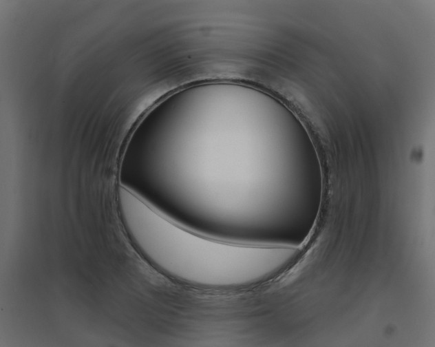 X0000094901081200711291017