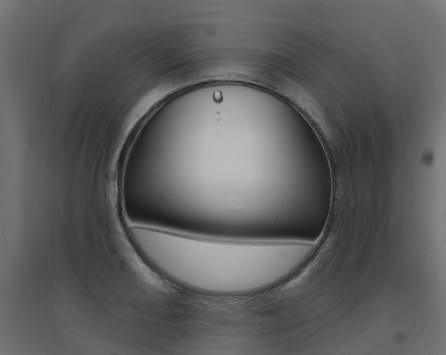 X0000094901082200711291017