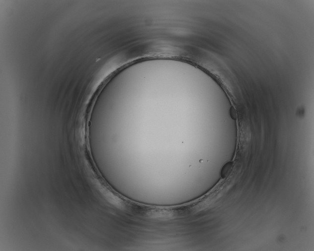 X0000094901083200711291017