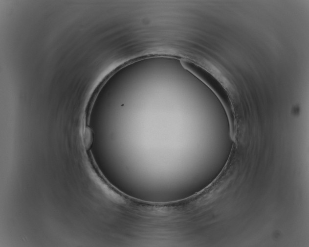 X0000094901084200711291017