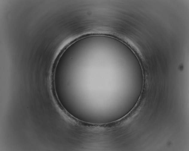 X0000094901085200711291017
