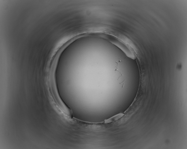 X0000094901088200711291017