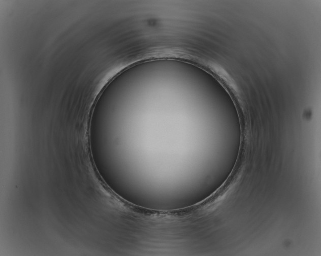 X0000094901089200711291017