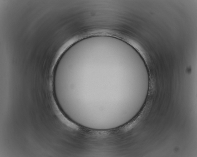 X0000094901090200711291017