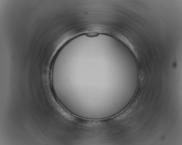 X0000094901091200711291017