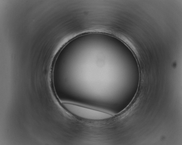 X0000094901093200711291017