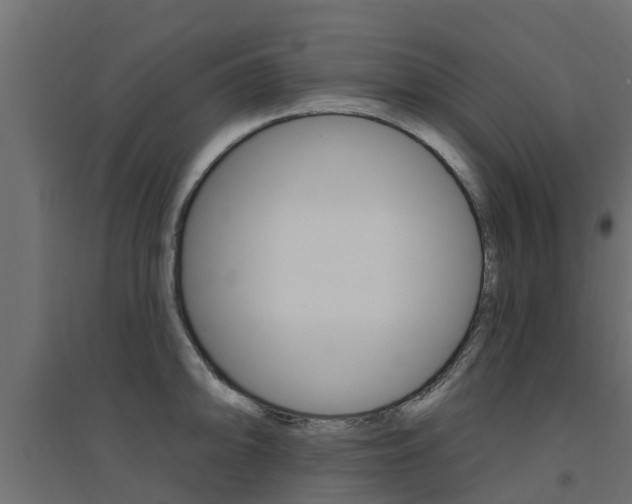 X0000094901094200711291017