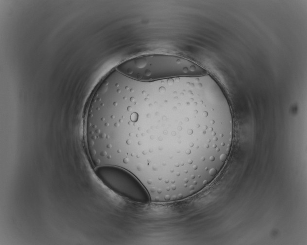 X0000094901095200711291017