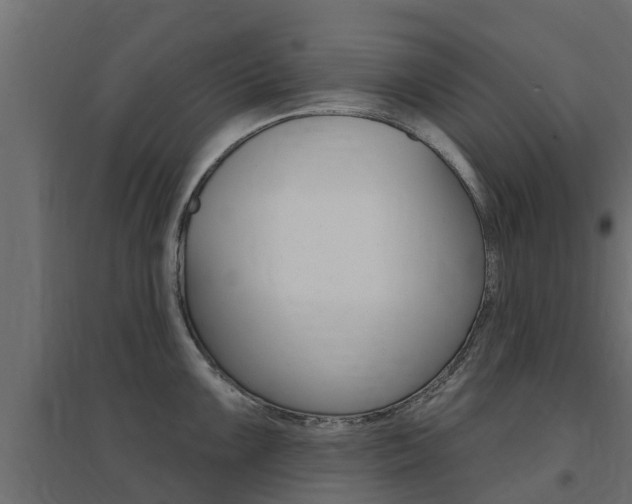 X0000094901099200711291017