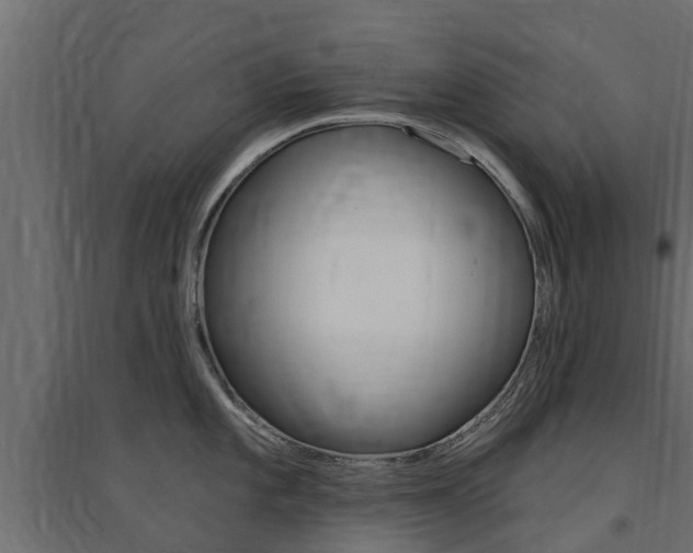 X0000094901101200711291017