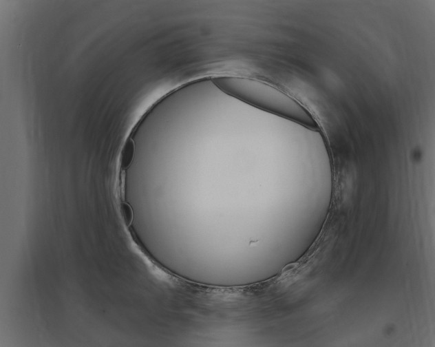 X0000094901103200711291017