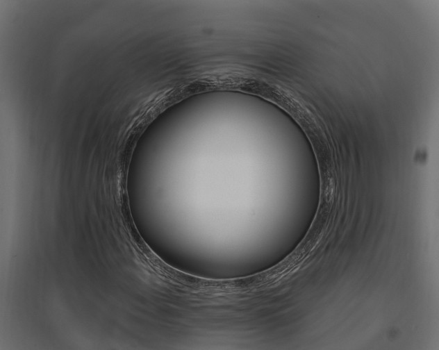 X0000094901108200711291016