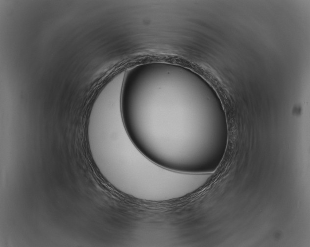 X0000094901110200711291016