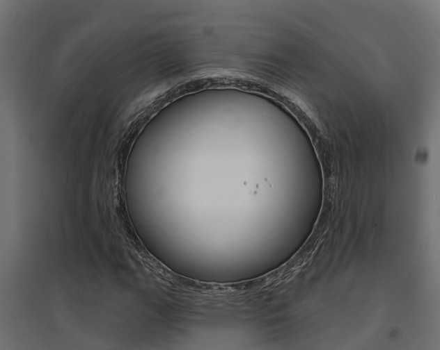X0000094901111200711291016